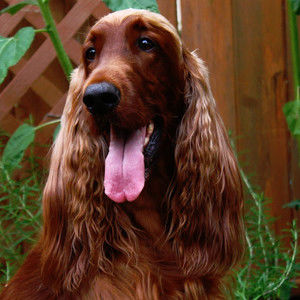 Meet your Posher, Christi